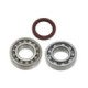 Sno-X Chain case bearing kit Yamaha