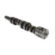 RIVA SEA-DOO 300/260/255/230/215 RACING CAMSHAFT