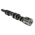 RIVA SEA-DOO 300/260/255/230/215 RACING CAMSHAFT