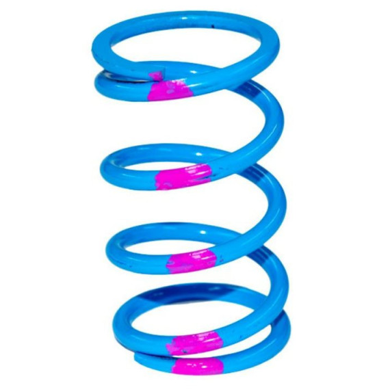 SLP High Performance Drive Clutch Spring Blue/Pink 140/340