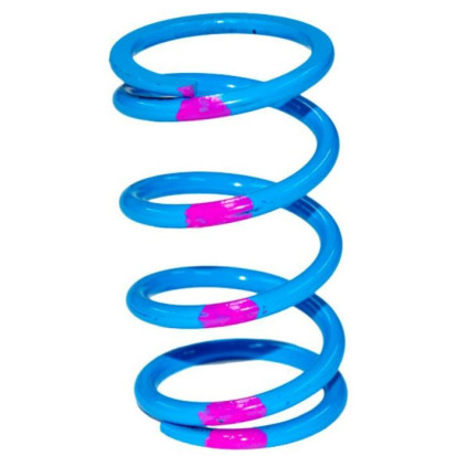 SLP High Performance Drive Clutch Spring Blue/Pink 140/340