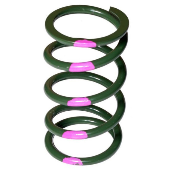 SLP High Performance Drive Clutch Spring Green/Pink 160/340