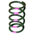 SLP High Performance Drive Clutch Spring Green/Pink 160/340