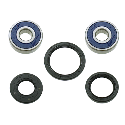 Sixty5 Wheel Bearing Kit - Rear