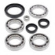 Bronco Differnetial bearing kit Yamaha