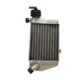 TMV Radiator SX65 09-12 - Right