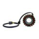 SBT Stator Sea Doo SPARK