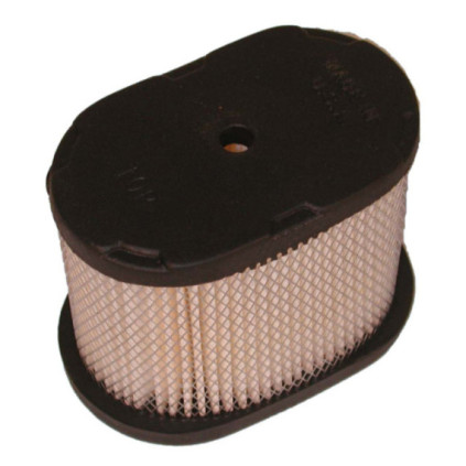 Eurogarden Air filter, B&S 5,5-6,5hp Intek, Klippo