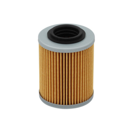 Bronco Oil filter CF Moto