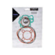 Forte Gasket set - Cylinder, Minarelli AM6 (Ears + O-Ring)