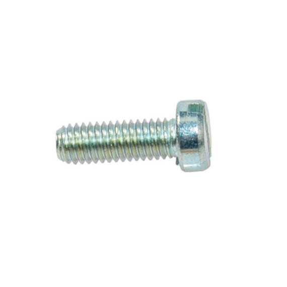 Dellorto Throttle slide cover screw, Dellorto PHVA , PHBN