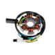 Forte Stator, Ducati, Derbi Senda EBE-EBS-D50B / Minarelli AM6