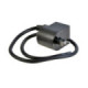 Forte Ignition coil, Suzuki PV50, (CDI-model)