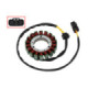 Bronco Stator CF Moto