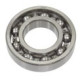 FAG Bearing 614879.01.6207 (crankshaft, BRP)