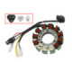 Sno-X Stator, Ski-Doo