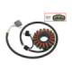 Sno-X Stator, Arctic Cat 9000