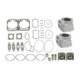 Sno-X Cylinder kit Standard, Arctic Cat 800/8000