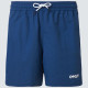 Oakley Beachshort All Day 16 Poseidon