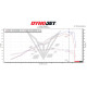 (2025) BMW S1000RR Stage 1+ Performance Calibration With Handheld Tuner