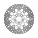 Polished Stainless Rotors for Big Twins