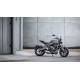 TRIUMPH 660 STREET TRIPLE (20-21)