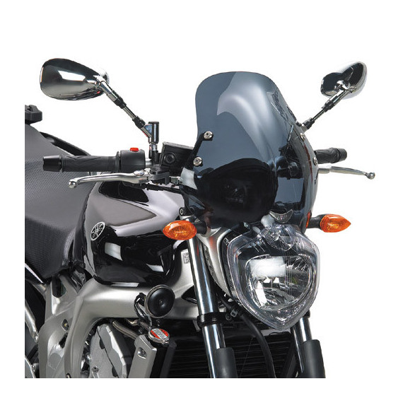Givi Specific screen, smoked 35 x 36cm (HxW)